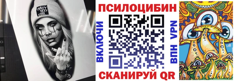 Галлюциногенные грибы Psilocybine cubensis  как найти закладки  Чишмы 